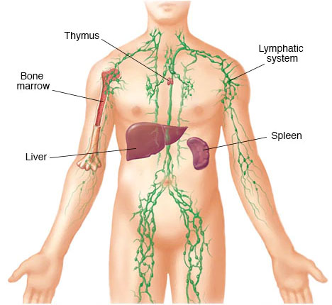 Leukemia Leukemia